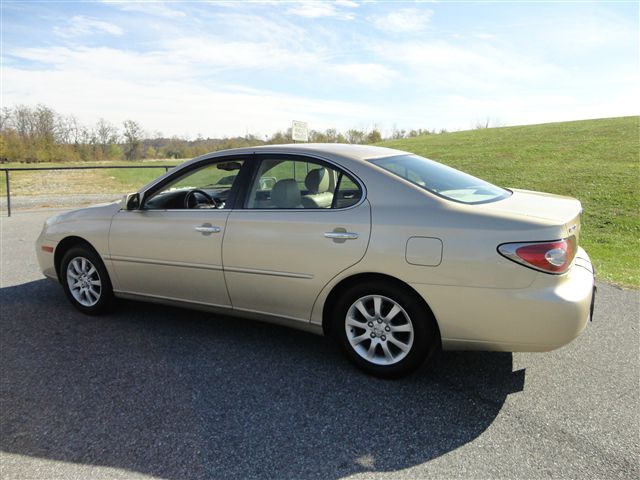 Lexus ES 300 2002 photo 10