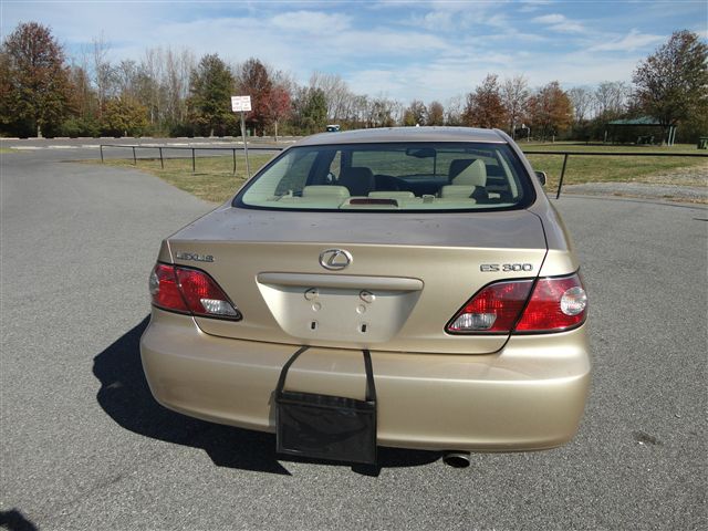 Lexus ES 300 2002 photo 12