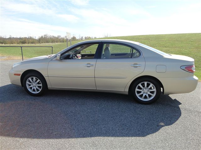 Lexus ES 300 2002 photo 8