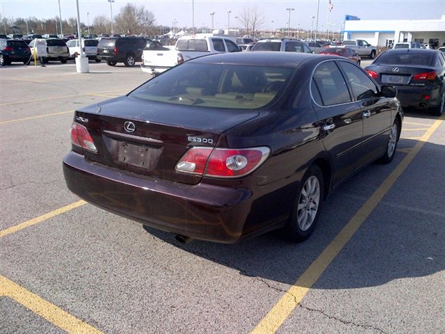 Lexus ES 300 2002 photo 4
