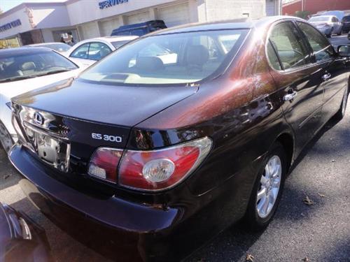 Lexus ES 300 2003 photo 5