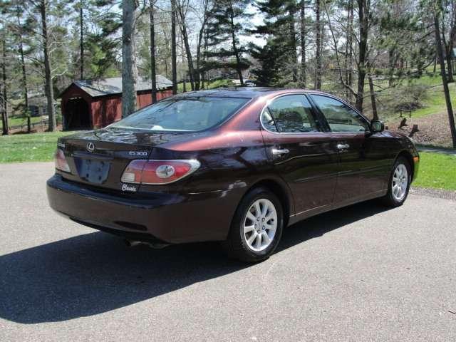 Lexus ES 300 2003 photo 3