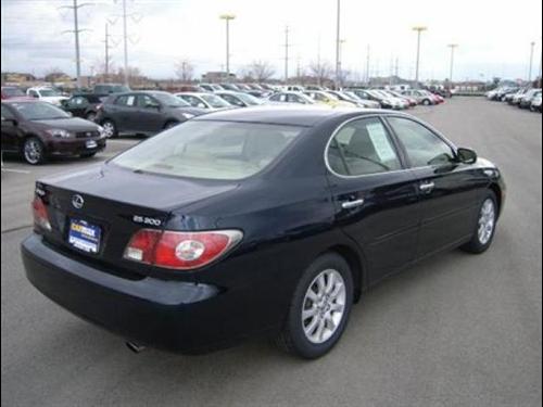 Lexus ES 300 2003 photo 2