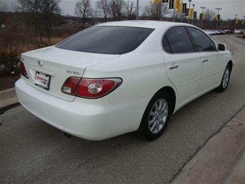 Lexus ES 300 2003 photo 4