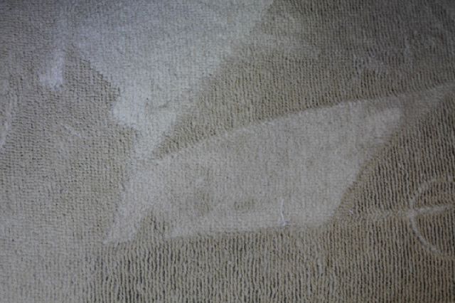 Lexus LS 460 2009 photo 24