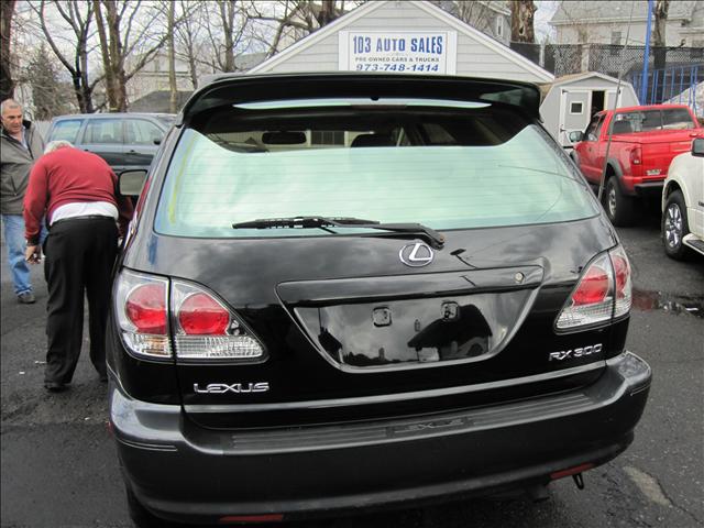 Lexus RX 300 2001 photo 4
