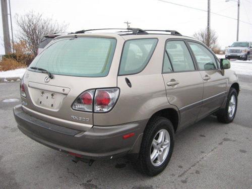 Lexus RX 300 2001 photo 4