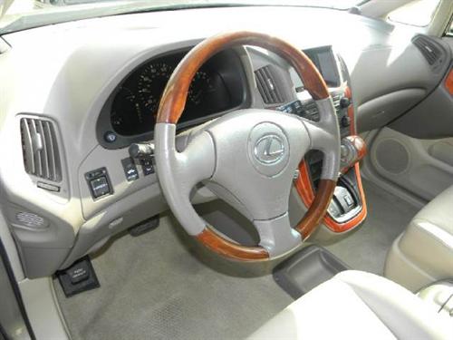 Lexus RX 300 2001 photo 3