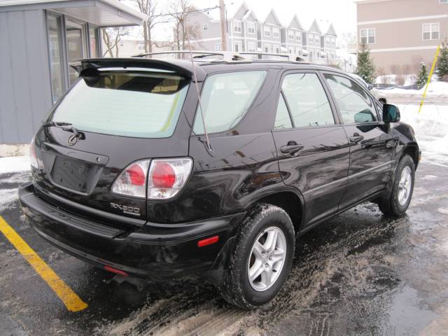 Lexus RX 300 2001 photo 4