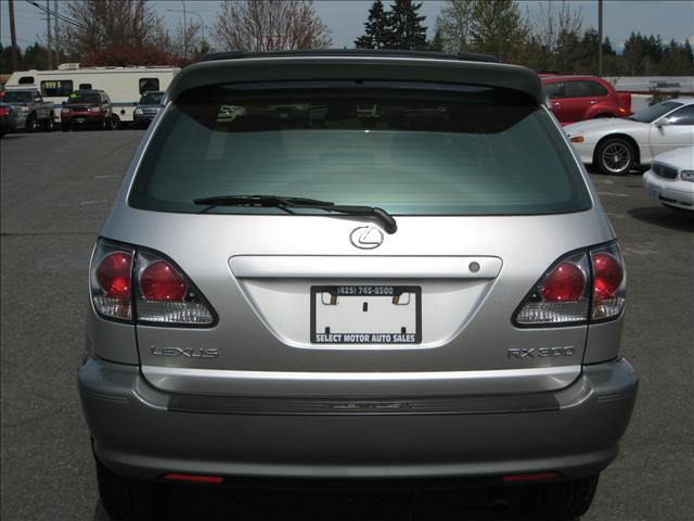 Lexus RX 300 2001 photo 4