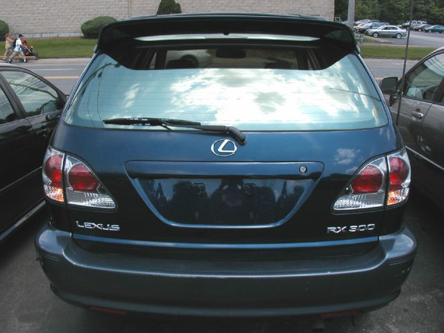 Lexus RX 300 2003 photo 1