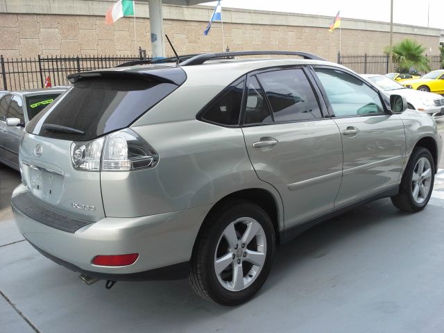 Lexus RX 330 2004 photo 14