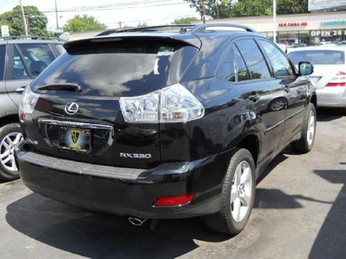 Lexus RX 330 2004 photo 2