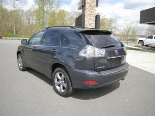Lexus RX 330 2004 photo 2
