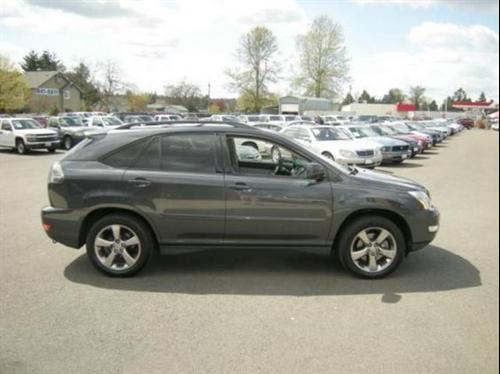 Lexus RX 330 2004 photo 3