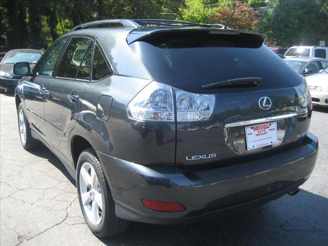 Lexus RX 330 2004 photo 4