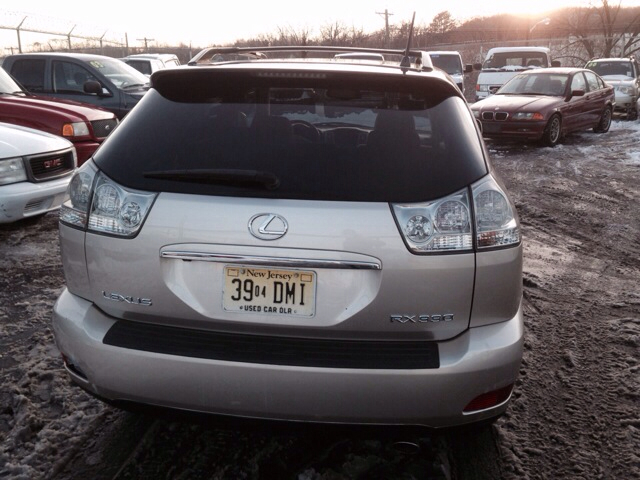 Lexus RX 330 2004 photo 2