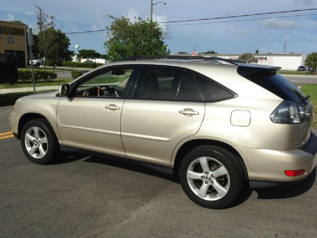 Lexus RX 330 2004 photo 4