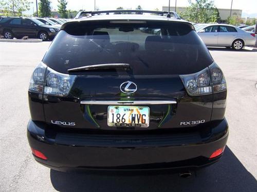 Lexus RX 330 2004 photo 3