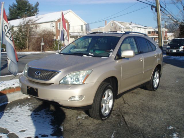 Lexus RX 330 2004 photo 3