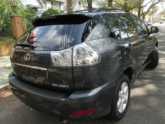 Lexus RX 330 2005 photo 2