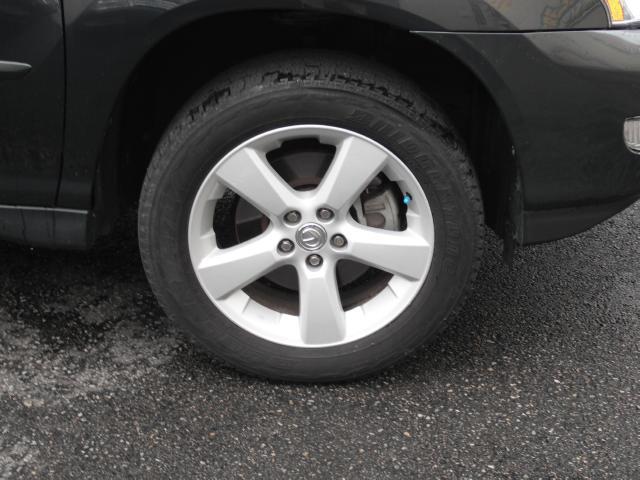 Lexus RX 330 2005 photo 10