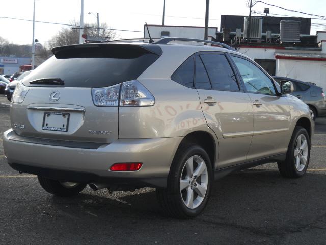 Lexus RX 330 2006 photo 3
