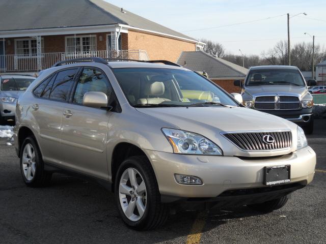 Lexus RX 330 2006 photo 4
