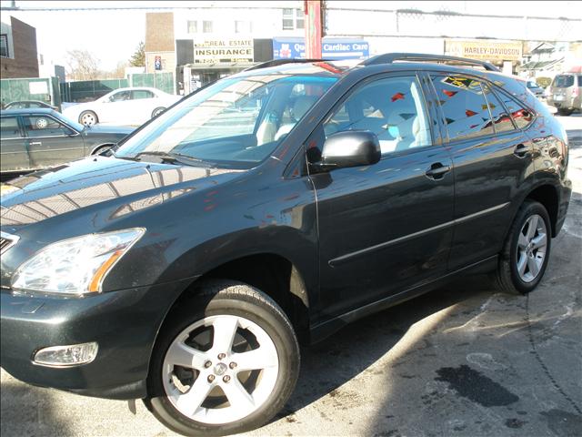 Lexus RX 330 2006 photo 3