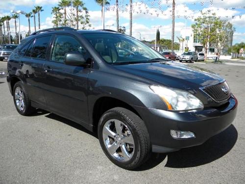 Lexus RX 330 2006 photo 3