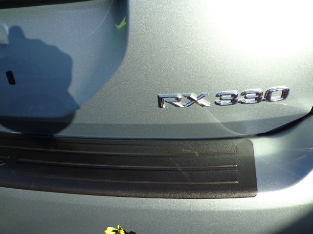 Lexus RX 330 2014 photo 1