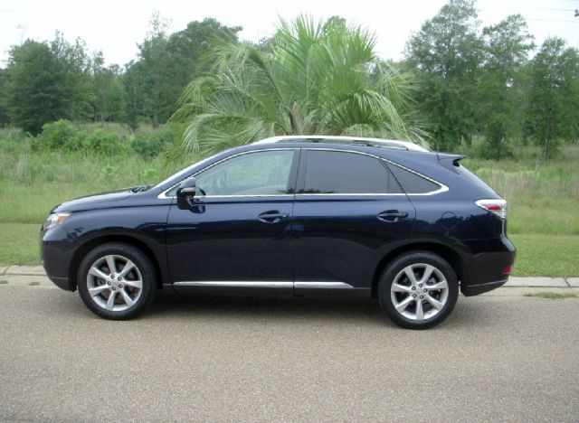 Lexus RX 350 2010 photo 3