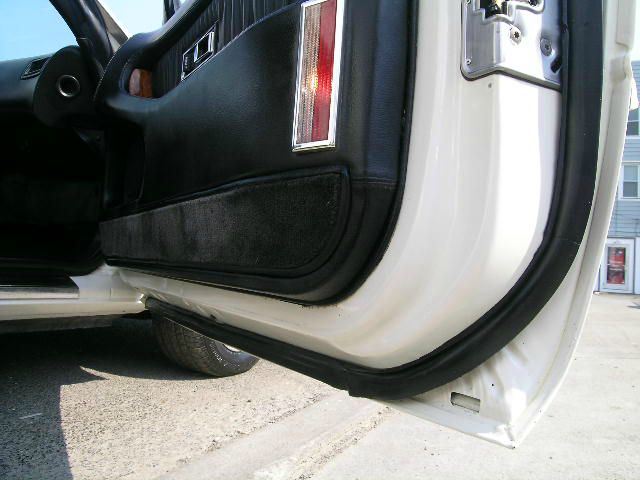 Maserati TC 1991 photo 26