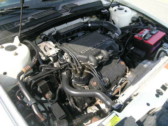 Maserati TC 1991 photo 8