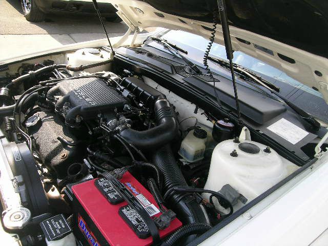 Maserati TC 1991 photo 9