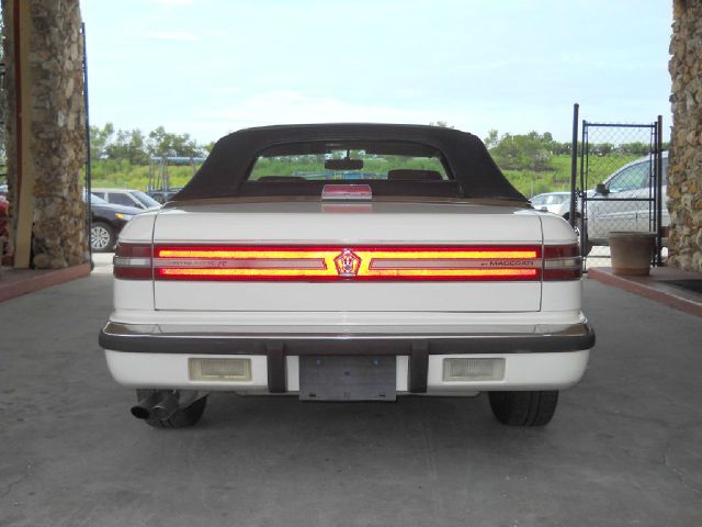 Maserati TC 1991 photo 2