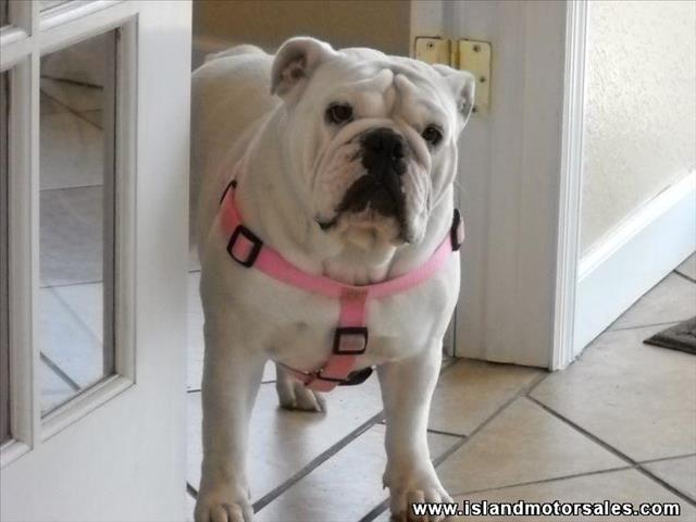 Mazda 6 2006 photo 3