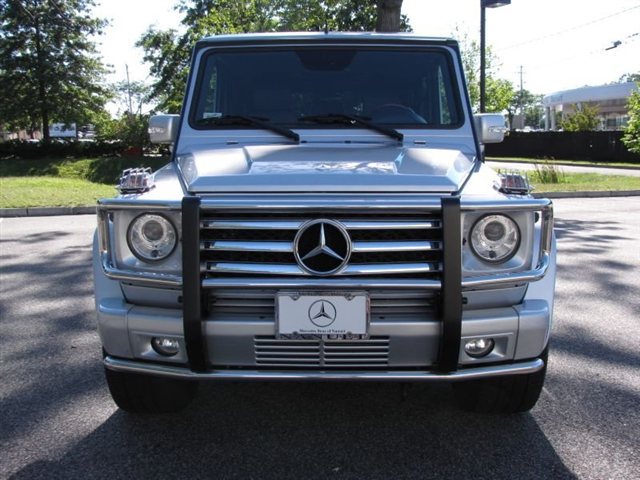 Mercedes-Benz G-Class 2009 photo 1