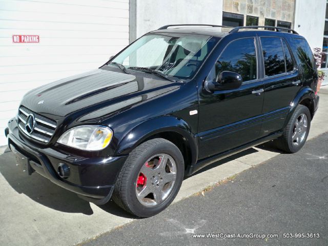 Mercedes-Benz M-Class 2001 photo 22