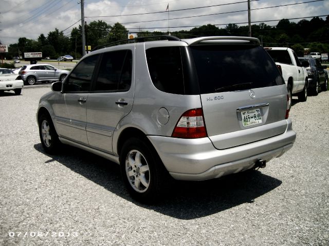 Mercedes-Benz M-Class 2002 photo 4
