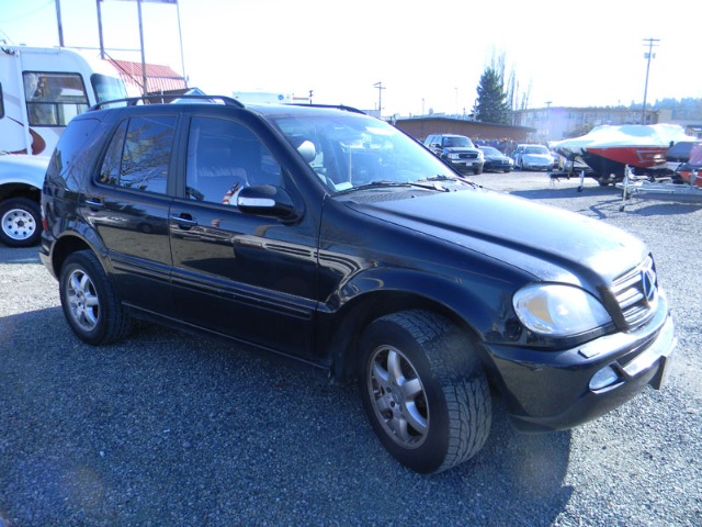 Mercedes-Benz M-Class 2002 photo 1
