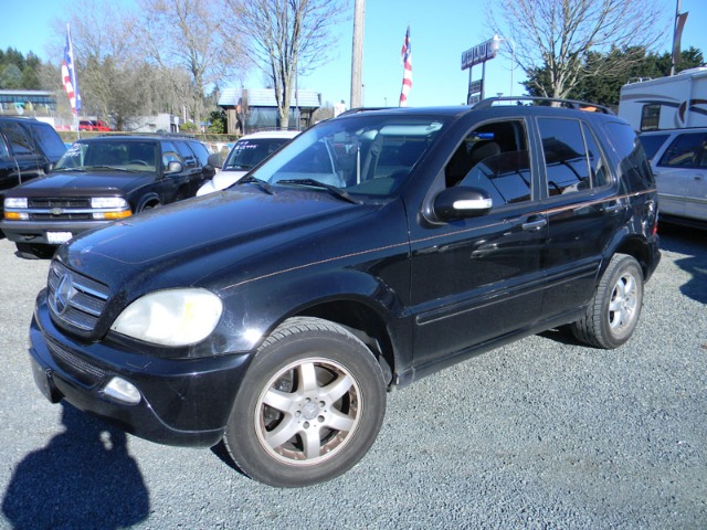 Mercedes-Benz M-Class 2002 photo 2
