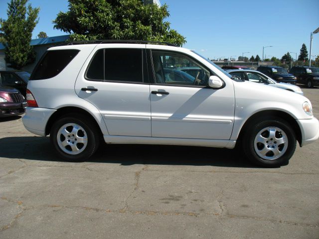 Mercedes-Benz M-Class 2003 photo 1
