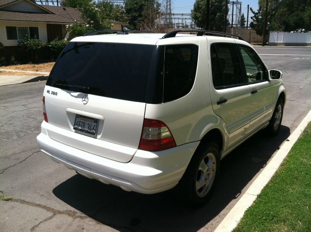 Mercedes-Benz M-Class 2003 photo 4