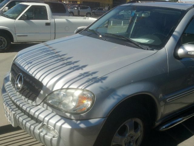 Mercedes-Benz M-Class 2004 photo 1