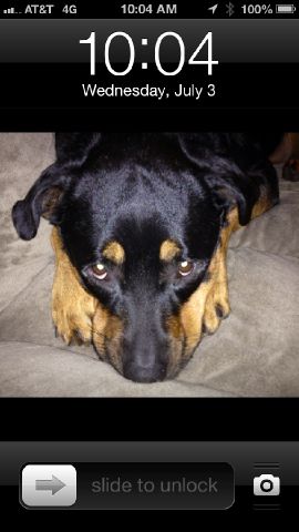 Mercedes-Benz SL-Class 2009 photo 1