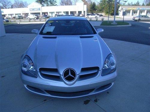 Mercedes-Benz SLK Class 2008 photo 1