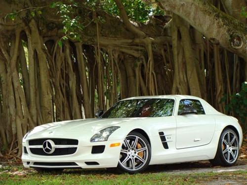 Mercedes-Benz SLS Class SEL DVD Entertainment Other
