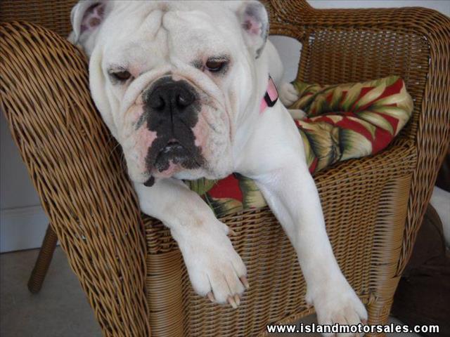 Mercury Grand Marquis 2004 photo 3