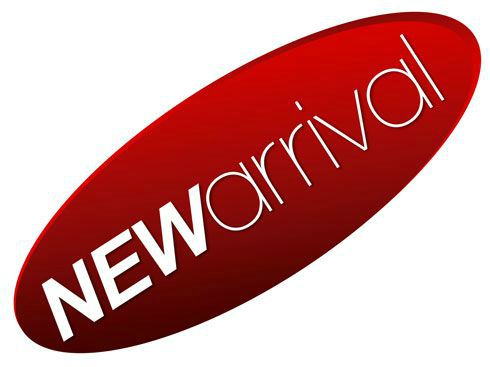 Mitsubishi Montero 2003 photo 1